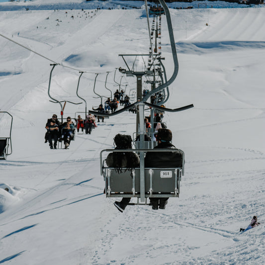 Silla Panorámica Cururo Mayor